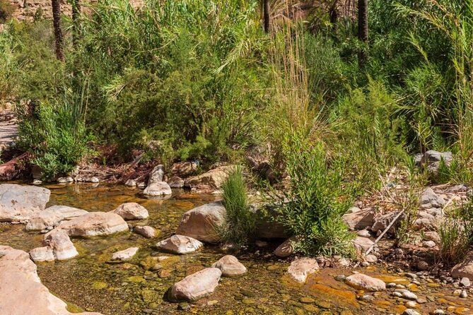 Paradise Valley & Atlas Mountains Adventure with optional LUNCH - What to Pack and How to Handle the Swim