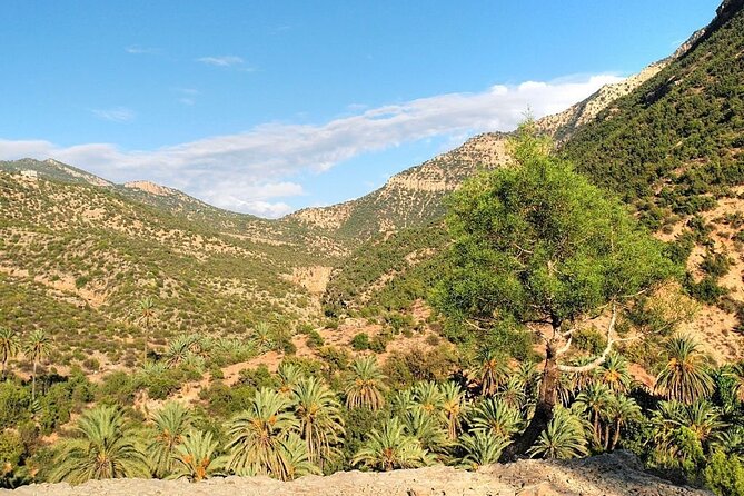 Paradise Valley & Atlas Mountains Adventure with optional LUNCH - Coastal Route Highlights: Beaches, Promenades, and the Agadir Kasbah Area