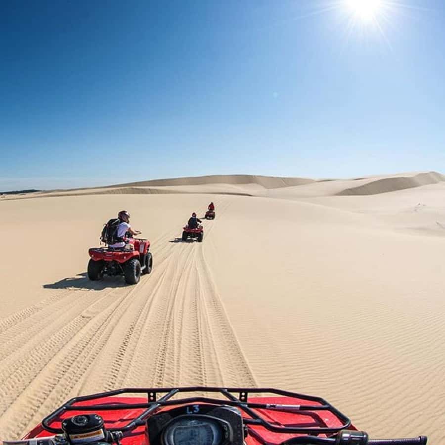 Paradise Valley & Desert Dunes with Camel Ride and quad bike - Key Highlights Worth Noticing