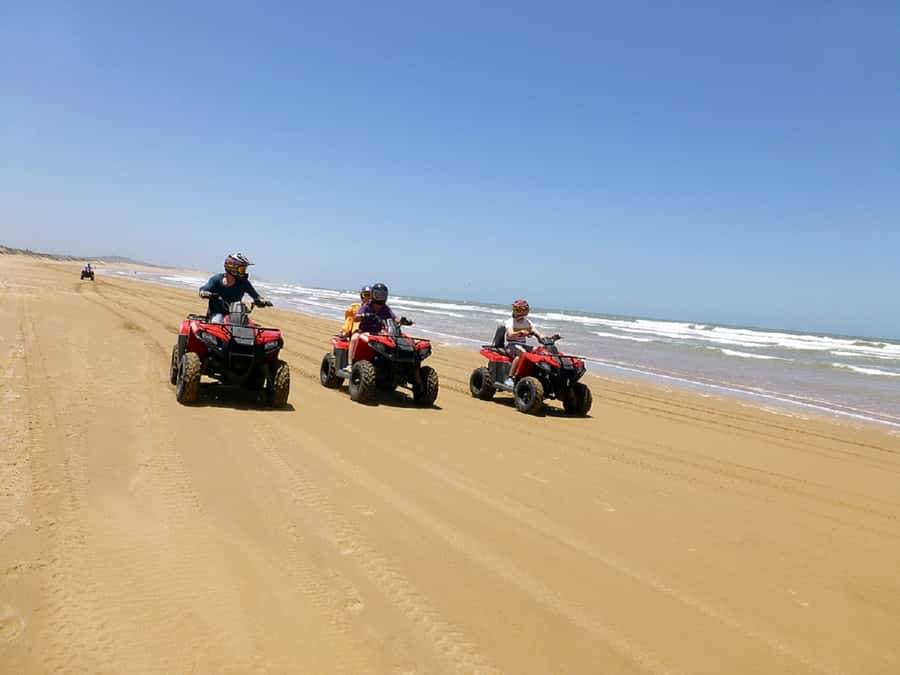 Paradise Valley & Desert Dunes with Camel Ride and quad bike - Price and Value at Around $147 Per Person: What You Get for the Money