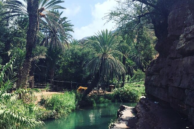 Paradise Valley & The Old Taghazout village Private Tour - The real feel of this private tour, not just the checklist