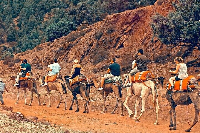 Premium Atlas Mountains & Berber Village Day Trip with Camel Ride - Marrakech to the High Atlas: why this trip feels personal