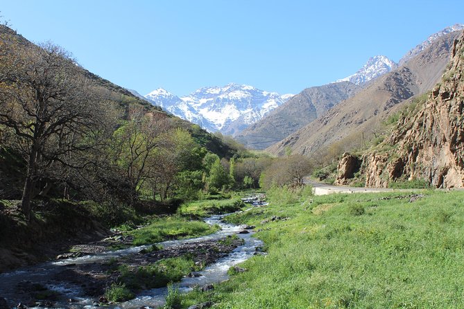 Premium Atlas Mountains & Berber Village Day Trip with Camel Ride - Price and value: what you get for $16.28 in the Atlas