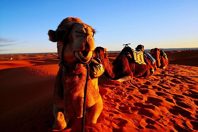 Private 3 Day Luxury Desert Tour from Fez to Marrakech - Price and value for a private luxury desert road trip