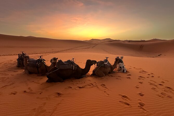 Private 3 Days Desert Tour from Marrakech to Merzouga - The Desert Activities That People Actually Care About