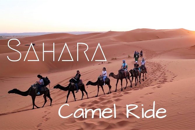 Private 3-Days Desert Trip From Marrakech to Merzouga - Who this tour suits best