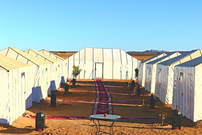 Private 4-Day Desert Tour from Marrakech to Zagora & Merzouga - Merzouga morning: fossils, fossils, and more desert change