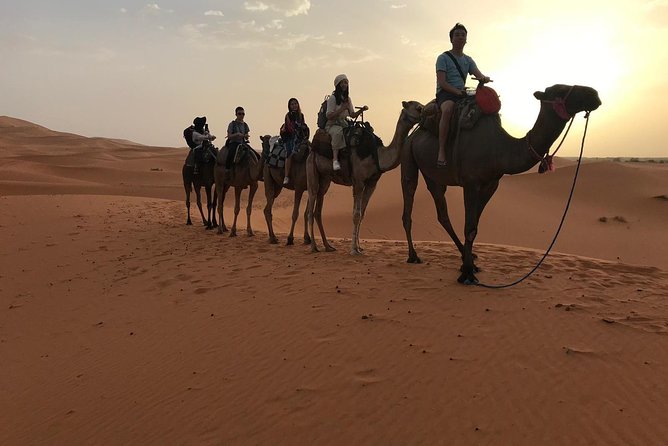 Private 4 Days Desert Tour from Fes to Marrakech - Who This Tour Suits Best (And Who Should Rethink It)