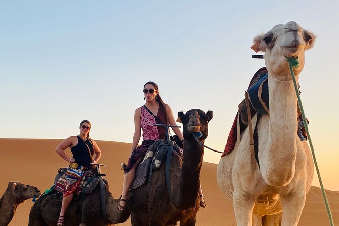 Private 4 Days Tour From Marrakech to Fes Via Merzouga Desert - Day 4: Ziz Valley viewpoint, Midelt lunch stop, cedar forest macaques, and Ifrane