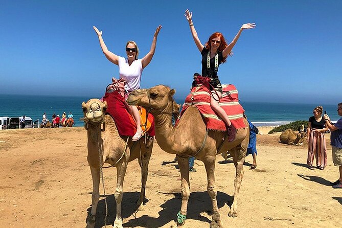 Private 4-Hour Tangier Tour - Tangier in Four to Five Hours, Private Transport That Actually Helps