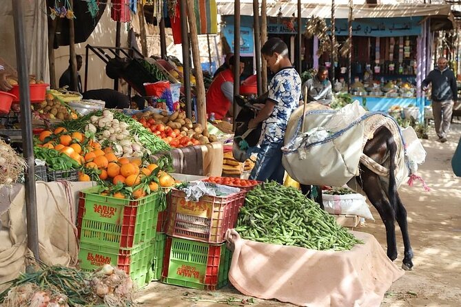 Private 8 Days Morocco Tour From Marrakech with Sahara Desert - Marrakech in one day: Jemaa el-Fnaa, Koutoubia, Bahia Palace, Saadian Tombs, Medina, Majorelle
