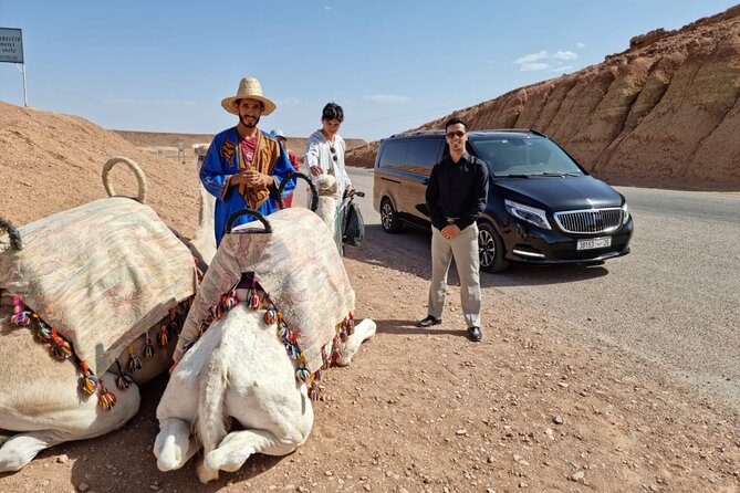 Private Ait Ben Haddou Tour with Road of the Kasbahs from Marrakech - Optional Camel Ride and Lunch at the Kasbah: Make Them Part of Your Plan