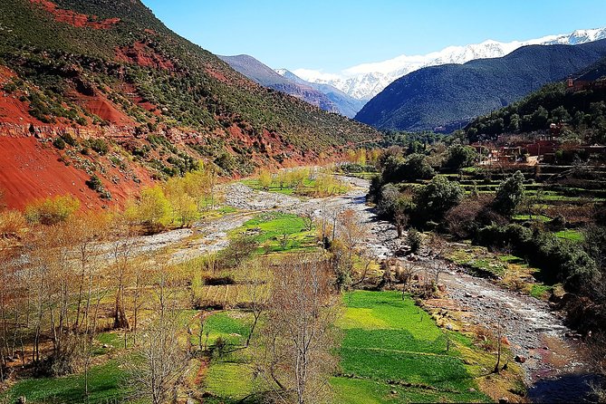 Private Atlas Mountains and 5 Valleys Tour from Marrakech - All inclusive - - Sidi Fares and the 60 to 90 minute guided hike through Berber villages