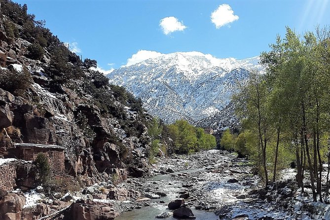 Private Atlas Mountains and 5 Valleys Tour from Marrakech - All inclusive - - Lunch in a Berber family home: couscous, tajine, and mint tea
