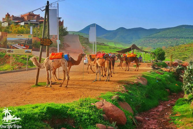 Private Atlas Mountains Day Trip - Key Highlights I’d Pick For You