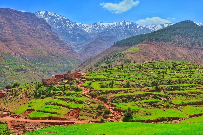 Private Atlas Mountains Day Trip - Price, Timing, and What You Really Get
