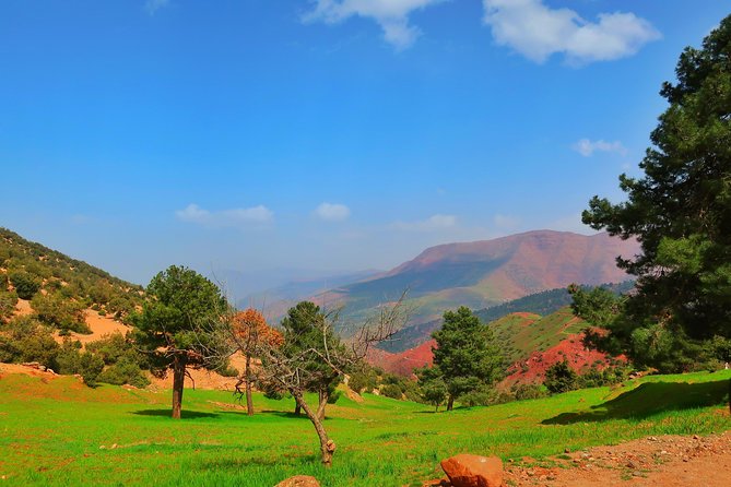 Private Atlas Mountains Day Trip - Who This Atlas Day Trip Is Best For