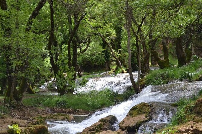 Private Day Tour from Fez to the Middle Atlas - Imouzzer Kandar, cedar cover and a waterfall walk