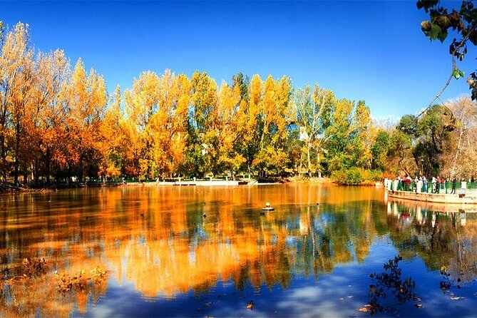 Private Day Tour from Fez to the Middle Atlas - Azrou Cedar Forest, best-preserved cedars and Barbary apes