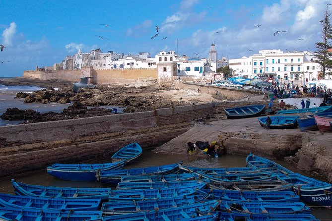 Private day tour to essaouira from Marrakech - Key highlights worth planning around