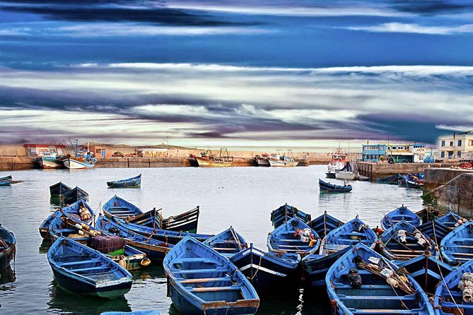 Private day tour to essaouira from Marrakech - Road-trip stops that actually add value, like argan trees and the cooperative