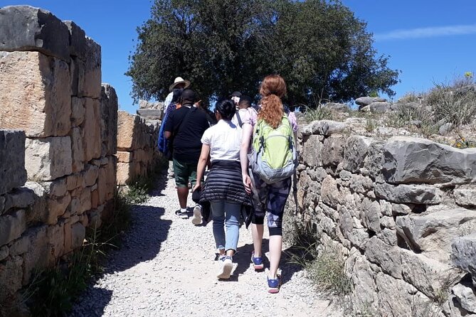 Private Day Tour to Meknes, Volubilis and Moulay Idriss from Fez - Practical tips to make the day feel worth it