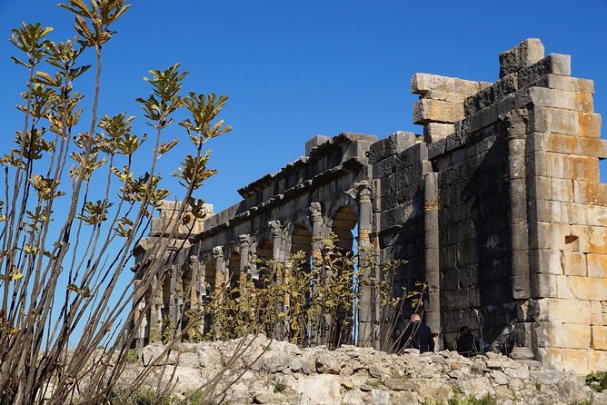 Private Day Trip From Fez To Volubilis and Meknes - Leaving Fez, arriving in Morocco’s countryside