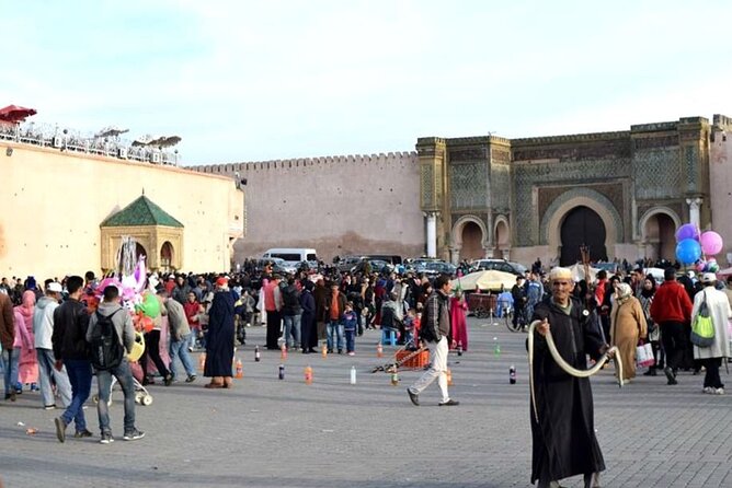 private Day trip from Fez to Volubilis and Meknes (without shopping) - Pace, transport, and staying comfortable in the heat