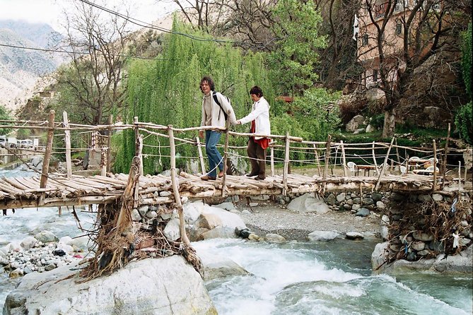 Private Day trip from Marrakech to Atlas Mountains - Berber culture moments: customs, villages, and a traditional home