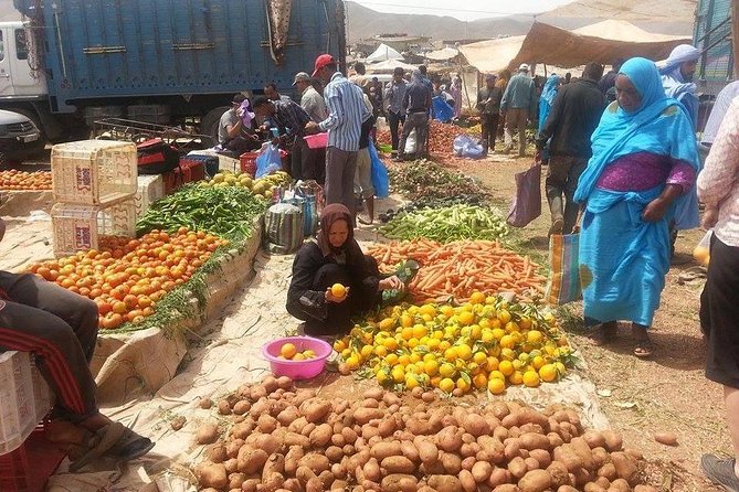 Private Day trip from Marrakech to Atlas Mountains - Transport details that actually matter in Marrakech