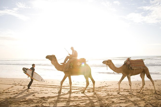 Private Day Trip from Marrakech to Essaouira City - Price and value: what $139.58 includes, and what it doesn’t