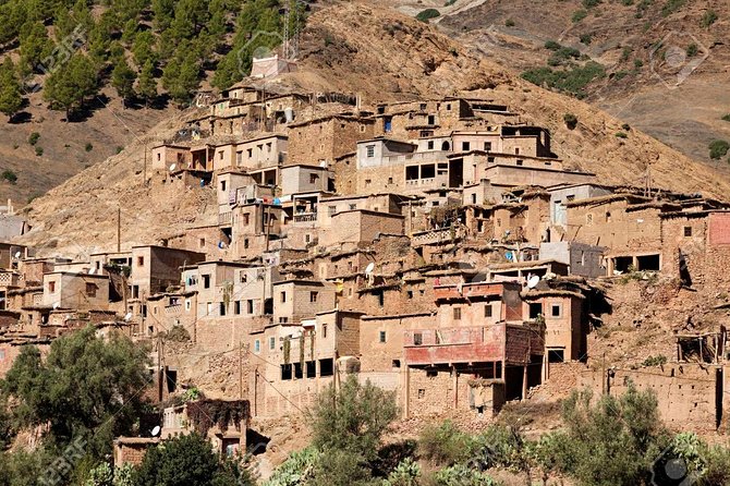 Private Day Trip From Marrakech To Ourika valley - Should you book this Ourika Valley day trip?