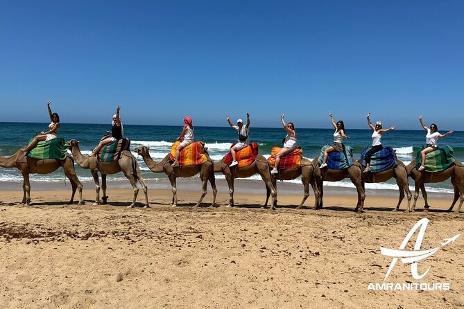 Private Day Trip from Seville to Tangier All Inclusive - Key points that matter before you go