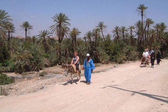 Private Day Trip of Taroudant & Tiout from Agadir - Donkey Options, Date Palms, and What to Bring for Comfort