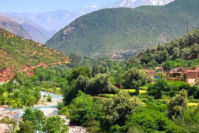 Private Day Trip to Atlas Mountains - Price and logistics: what you’re actually paying for