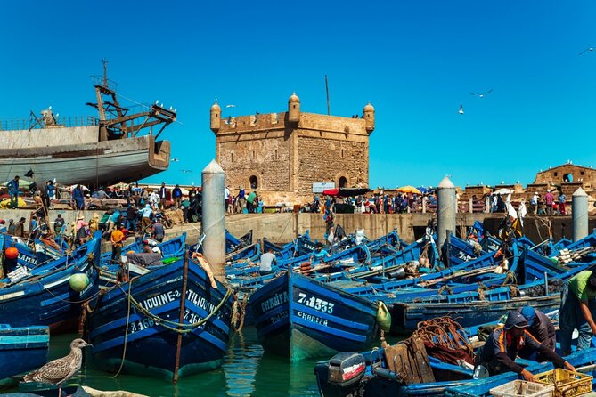 Private Day Trip to Essaouira from Marrakech - Price And What You’re Paying For (Not Just Transport)