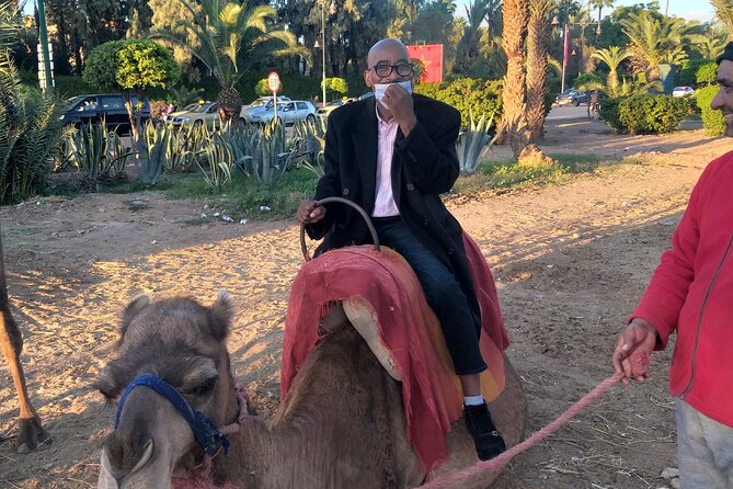 Private day trip to Marrakech from Casablanca - Walking the Medina and finding the city’s shopping rhythm
