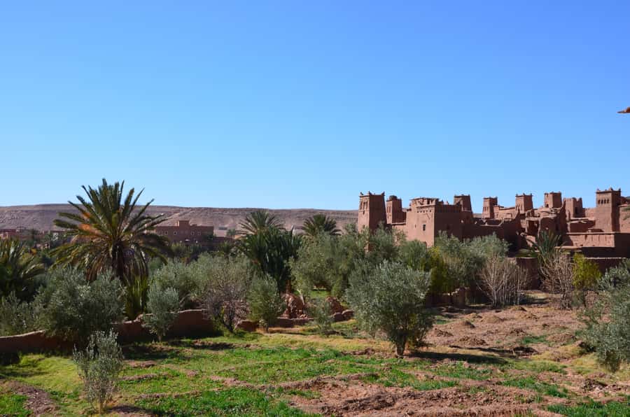 Private Day Trip To Ouarzazate & Ait Ben Haddou Kasbah - Price and logistics: what you really get for $235