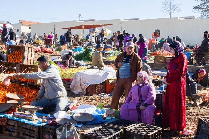 Private day trip to Ourika valley and Atlas Mountains - Logistics that affect your experience: private, flexible, and timed well