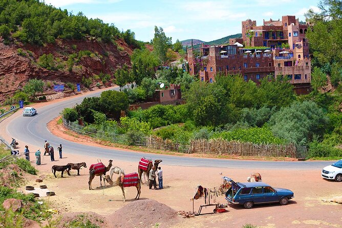 Private Day Trip to Ourika Valley from Marrakech with Lunch - Leaving Marrakech behind, without losing comfort