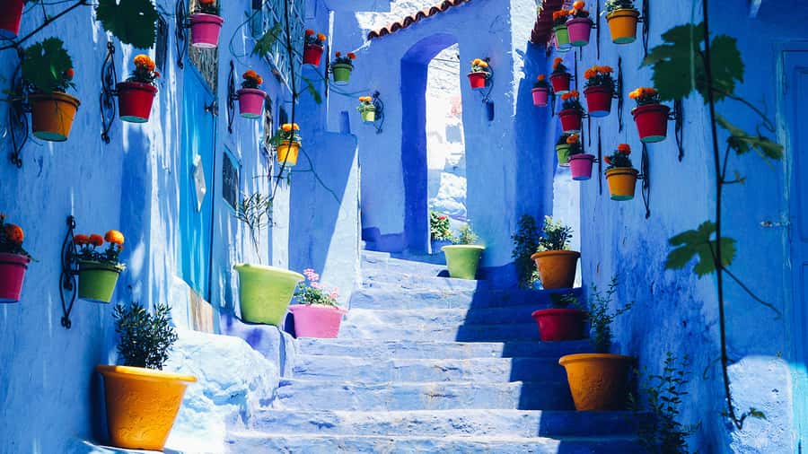 Private - Day Trip to the Blue City of Chefchaouen - The return to Fes: timing so you do not feel rushed