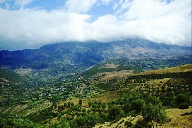 Private Day Trip to Volubilis Meknes and Moulay Driss From Fez - Who should book this day trip