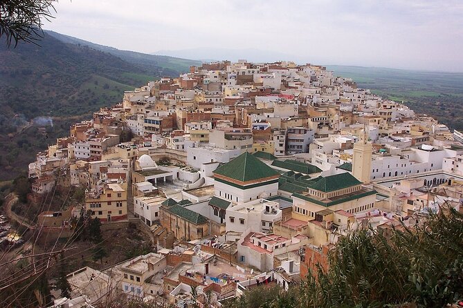 Private Day Trip to Volubilis Meknes and Moulay Driss From Fez - Moulay Idriss Zerhoun: a free stop with real meaning