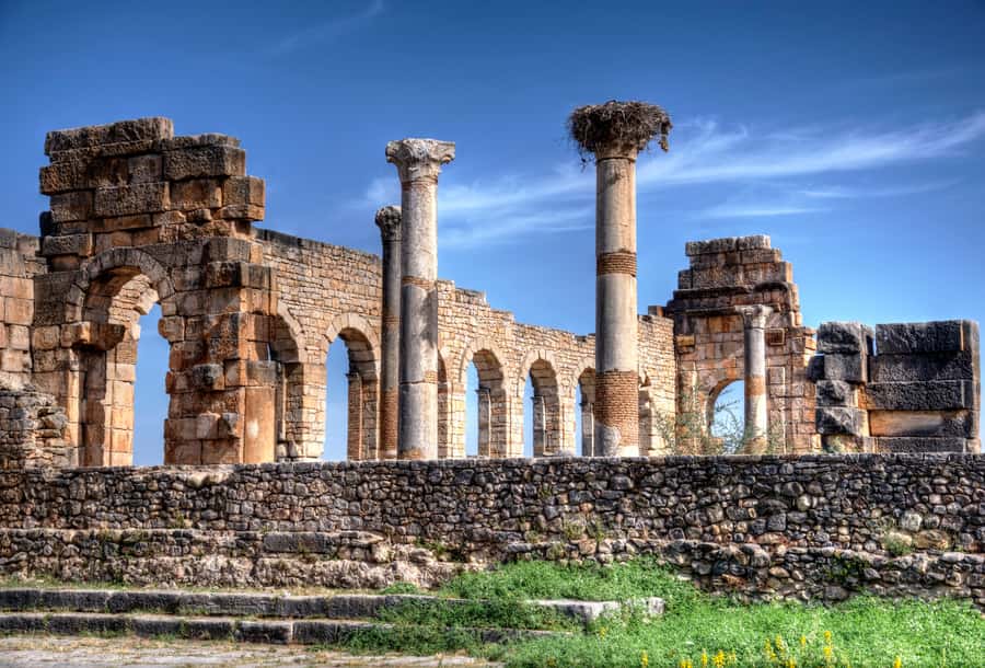Private Day Trip to Volubilis, Moulay Idriss and Meknes - Who this tour fits best