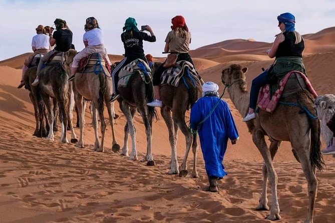 Private Desert Odyssey: Marrakech to Merzouga 3-Day Adventure - Day 3: Sunrise Camel Time, Draa Valley, and Back to Marrakech