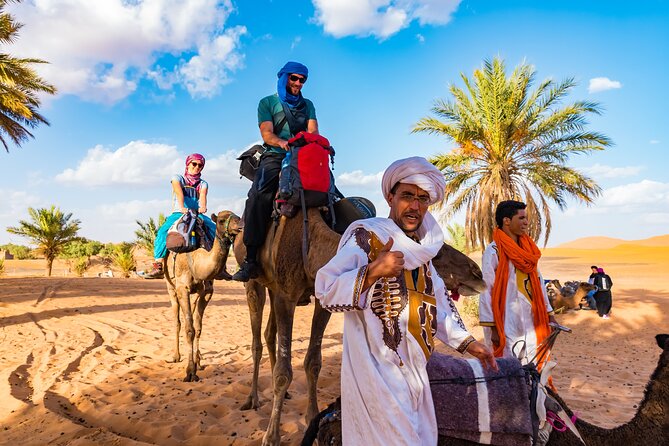 Private Driver for a full day in Marrakech - Medina time with a driver: how to make the most of the streets