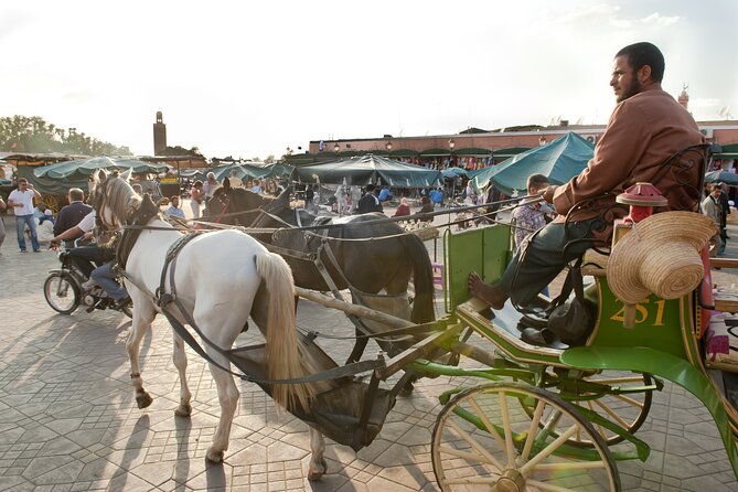 Private Driver for a full day in Marrakech - Choosing Your Marrakech Route: medina, palaces and gardens, or Atlas Mountains time