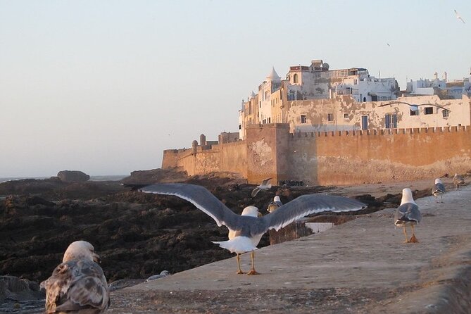 Private Essaouira Day Trip From Agadir - Key things to know before you go