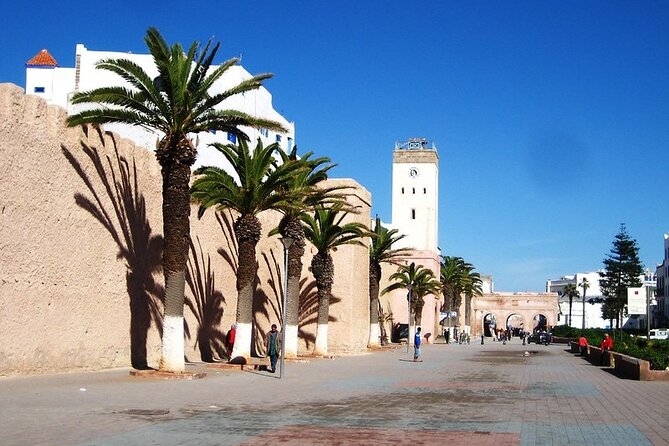 Private Essaouira Day Trip From Agadir - Door-to-door Agadir to Essaouira transport, without the headaches