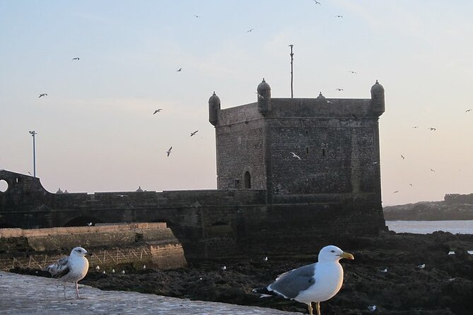 Private Essaouira Day Trip From Agadir - Small practical tips that make the day easier
